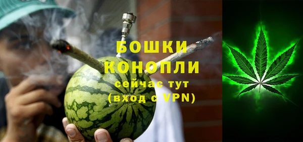 дмт Рославль