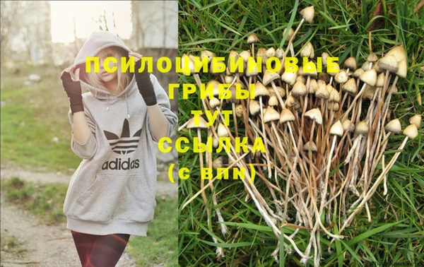 бошки Россошь