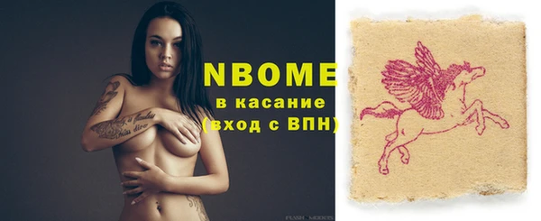 дмт Рославль