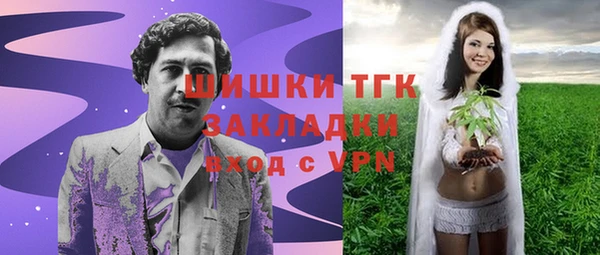 дмт Рославль