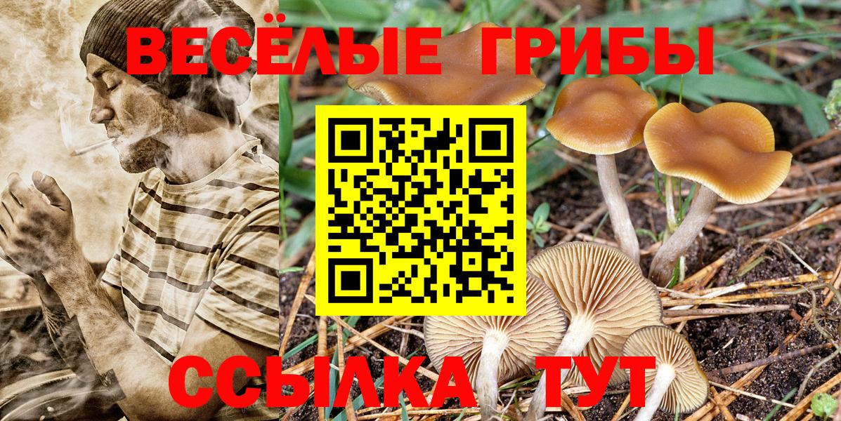 Псилоцибиновые грибы GOLDEN TEACHER  Вход с VPN  Рославль 