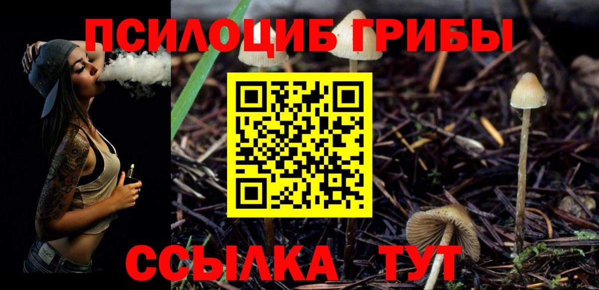 Галлюциногенные грибы прущие грибы Рославль