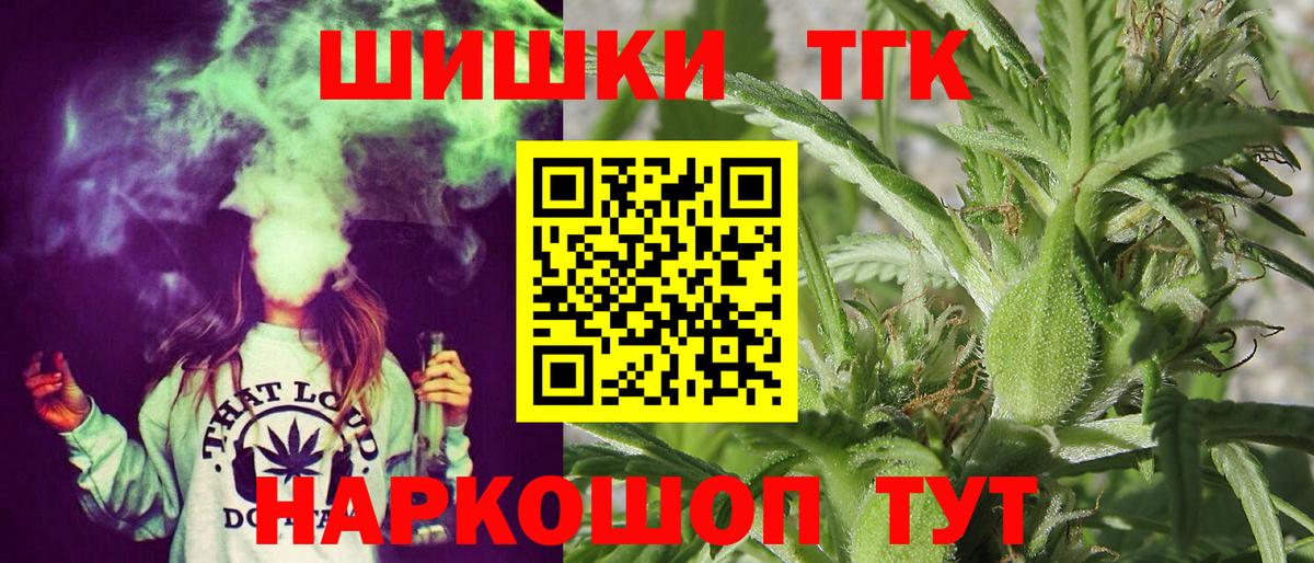 Конопля сатива Рославль